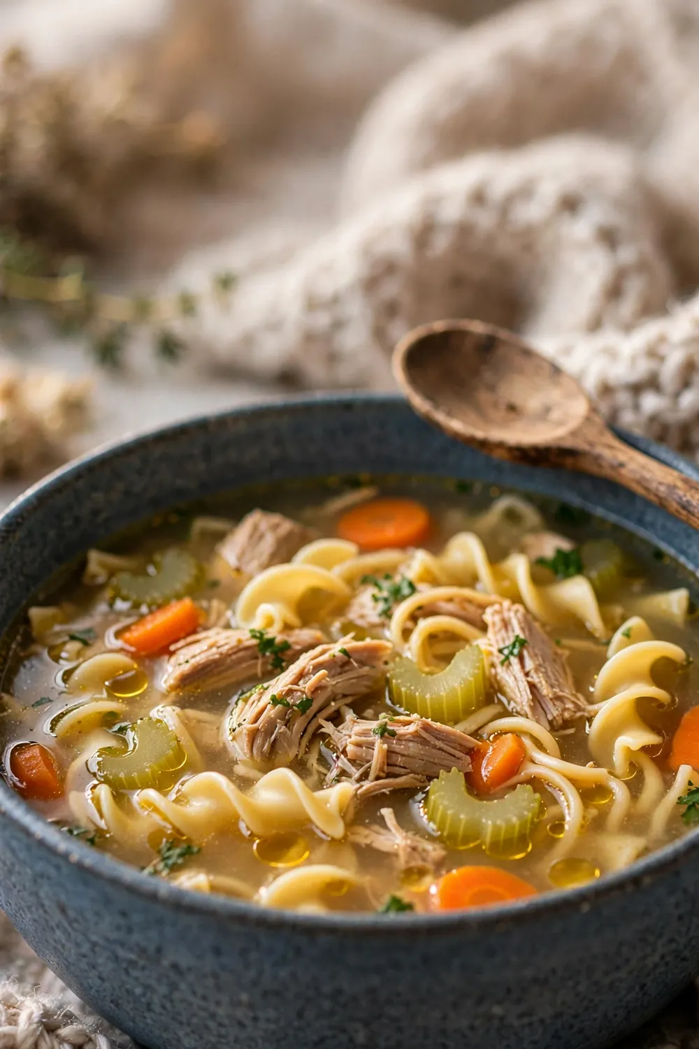 Chicken noodle soup