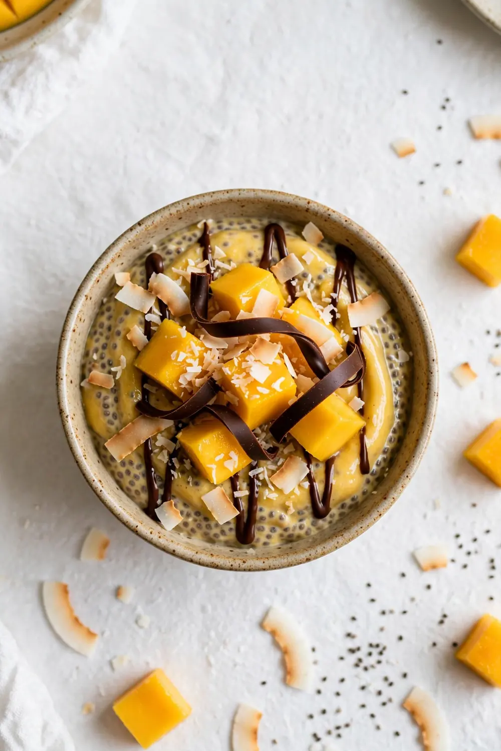 Chia pudding with chocolate drizzle and coconut flakes in a bowl