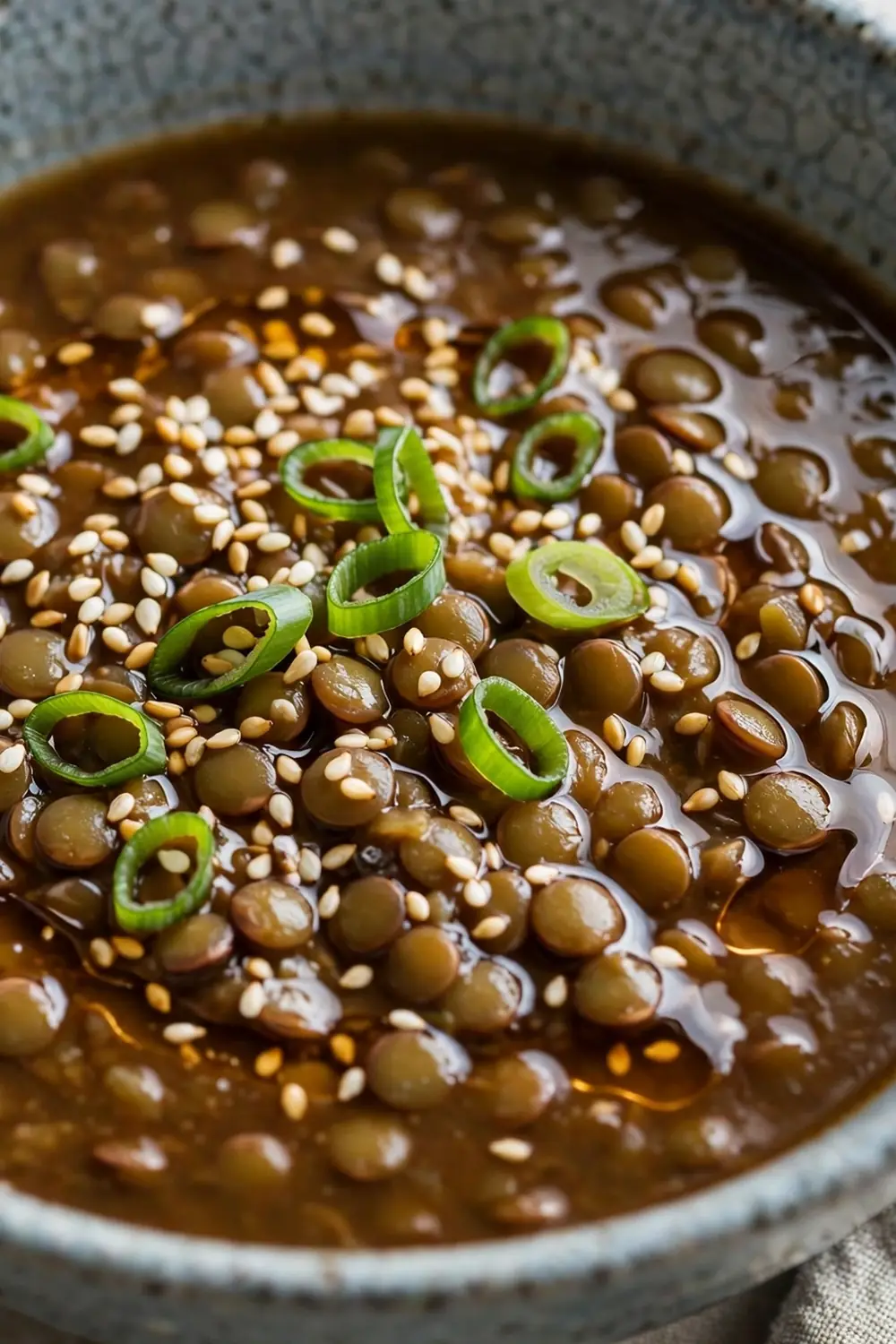 french lentil soup 20