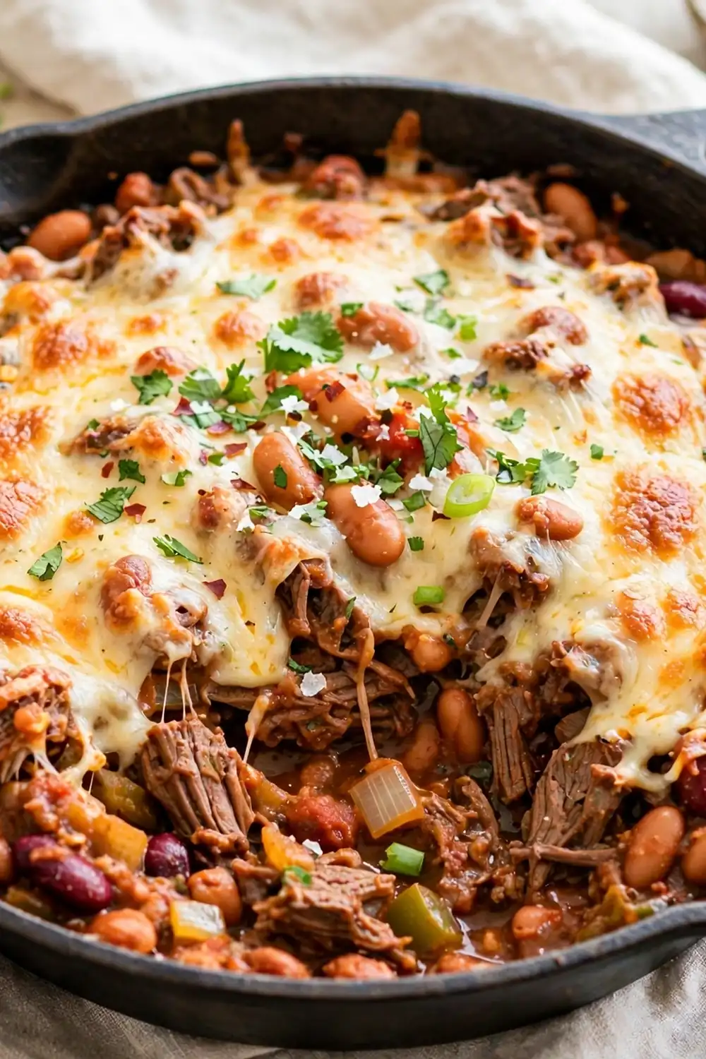 HP casseroles 03