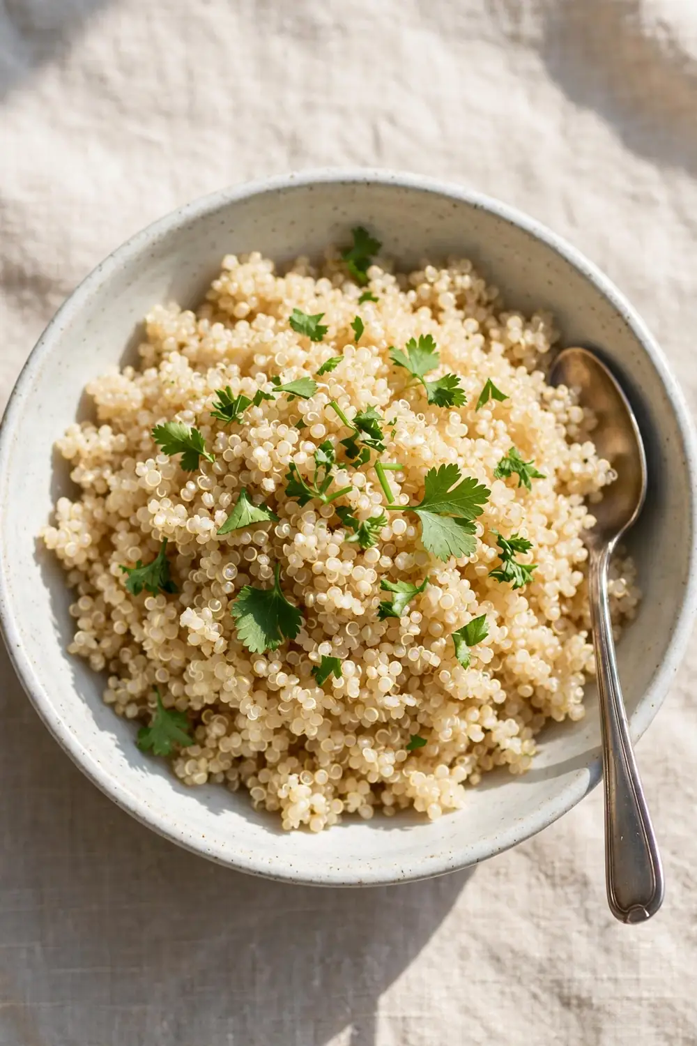 Perfect fluffy quinoa in a bowl with grains separate and light