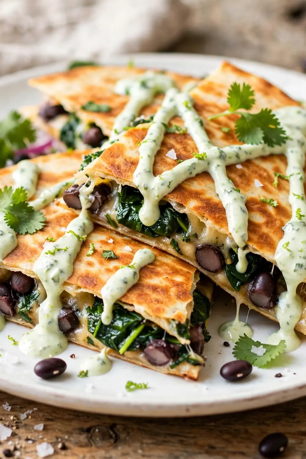 Quesadillas 04